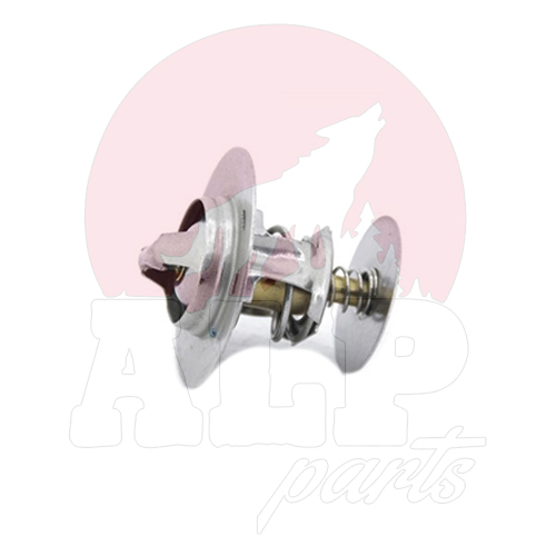 THERMOSTAT ASSY