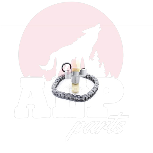 TENSIONER - TIMING CHAIN