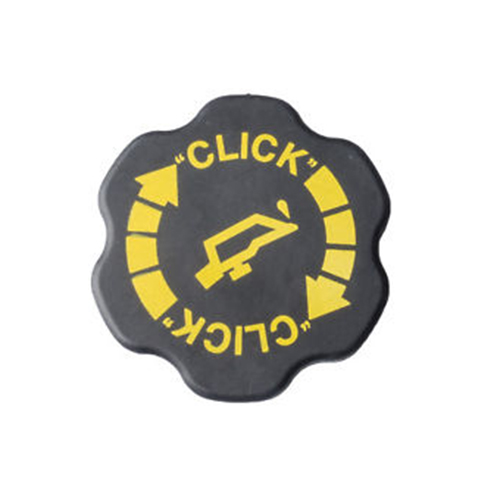 OIL CAP