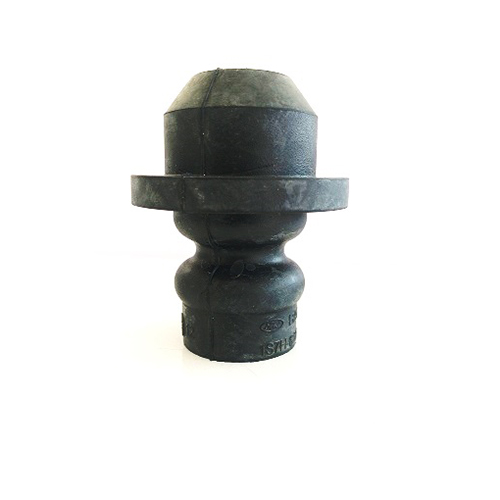 RADIATOR MOUNTING